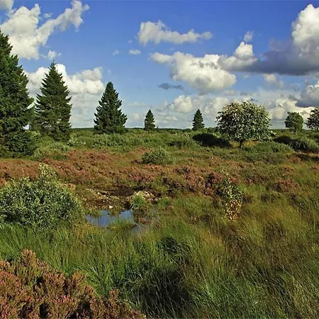 Prázdninový dům In En Ardennes La-Roche-en-Ardenne