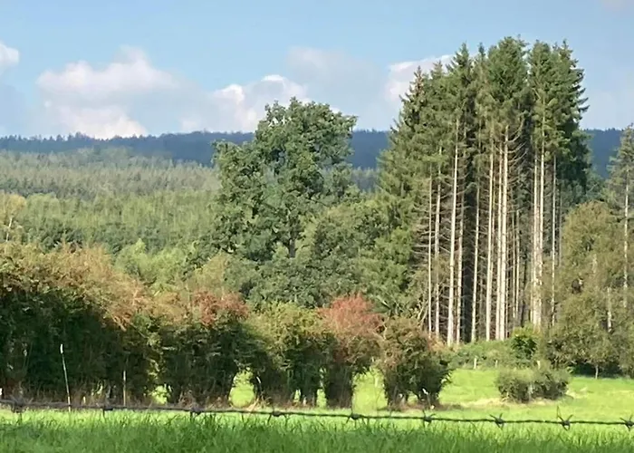 In En Ardennes Ferienhaus La Roche-en-Ardenne