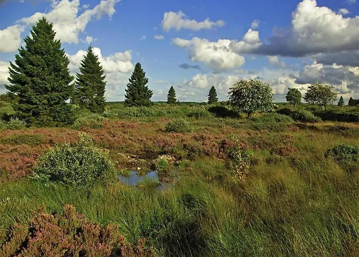 Prázdninový dům In En Ardennes La-Roche-en-Ardenne